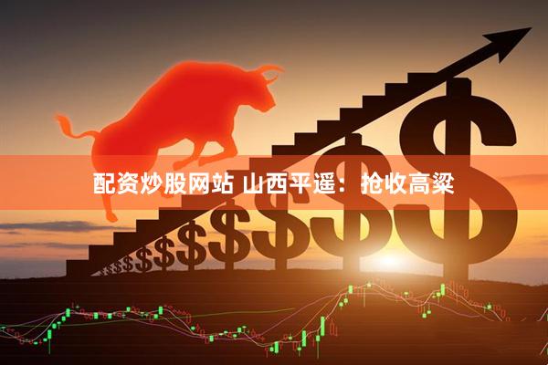 配资炒股网站 山西平遥：抢收高粱