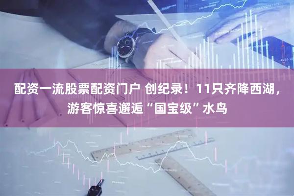 配资一流股票配资门户 创纪录！11只齐降西湖，游客惊喜邂逅“国宝级”水鸟