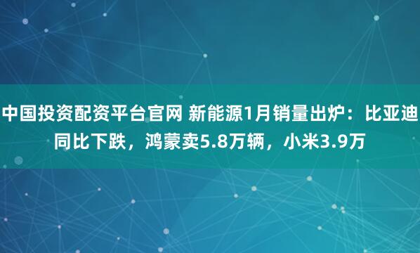 中国投资配资平台官网 新能源1月销量出炉：比亚迪同比下跌，鸿蒙卖5.8万辆，小米3.9万