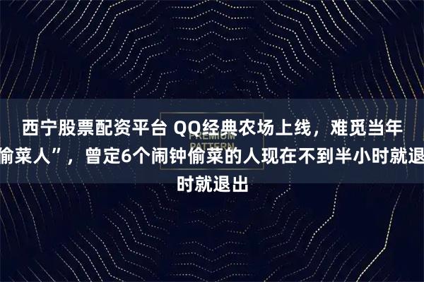 西宁股票配资平台 QQ经典农场上线，难觅当年“偷菜人”，曾定6个闹钟偷菜的人现在不到半小时就退出
