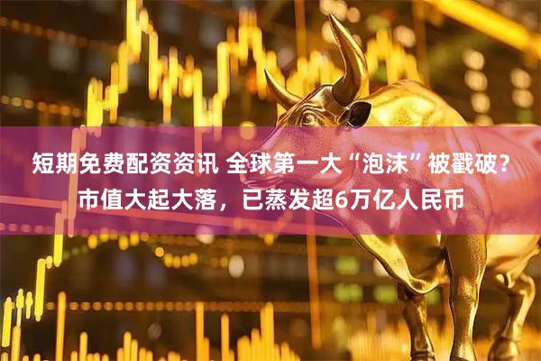 短期免费配资资讯 全球第一大“泡沫”被戳破？市值大起大落，已蒸发超6万亿人民币